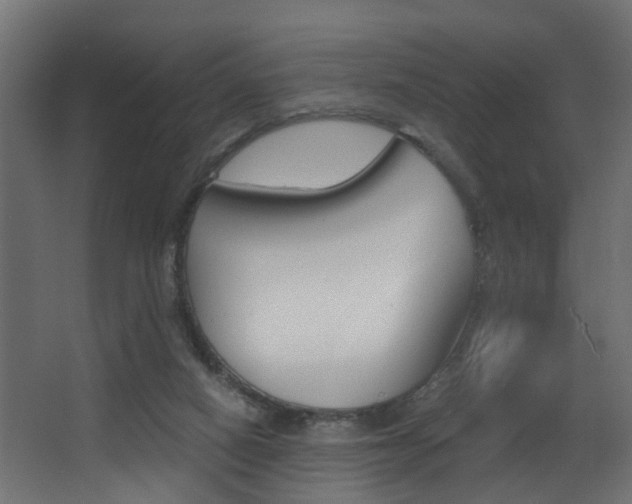 X0000068310066200604211047