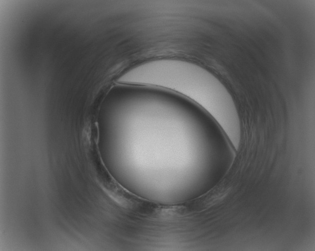 X0000068310072200604211047