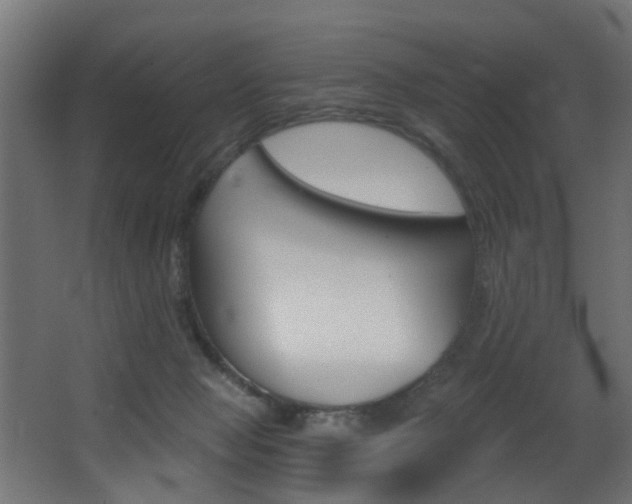 X0000068310077200604211047