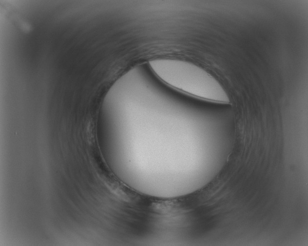 X0000068310079200604211047
