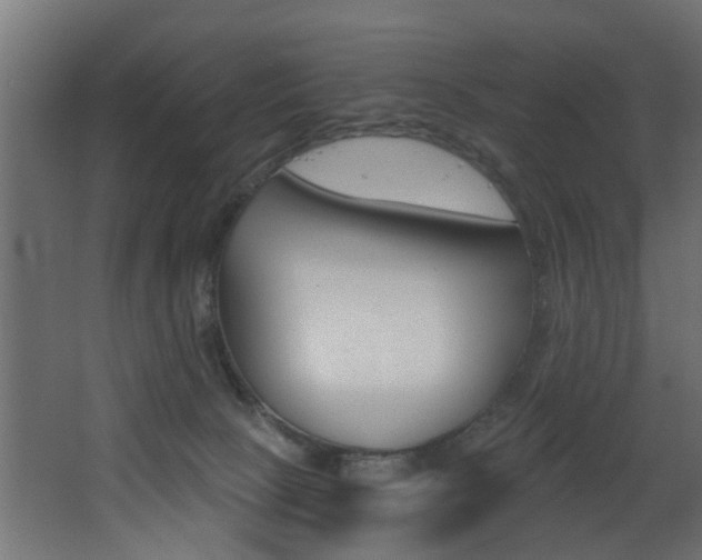 X0000068310081200604211047