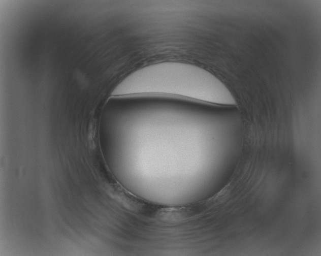 X0000068310082200604211047