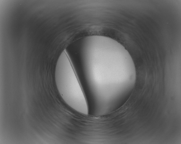 X0000068310083200604211048