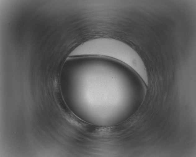 X0000068310084200604211048