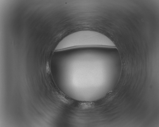 X0000068310089200604211048