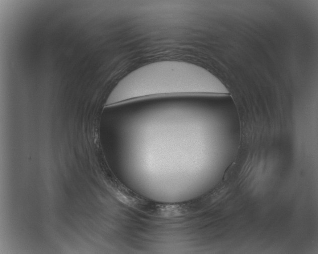 X0000068310091200604211048
