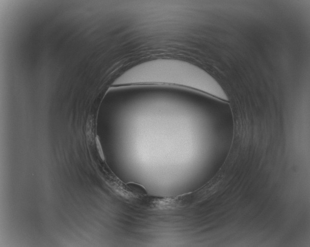 X0000068310092200604211048