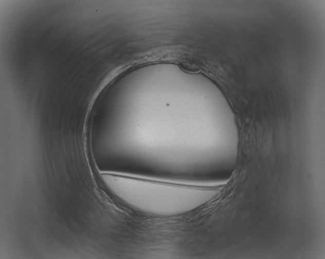 X0000068310100200604211047