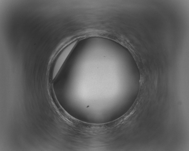 X0000068310101200604211047
