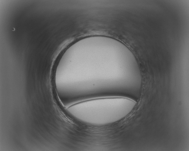 X0000068310104200604211047