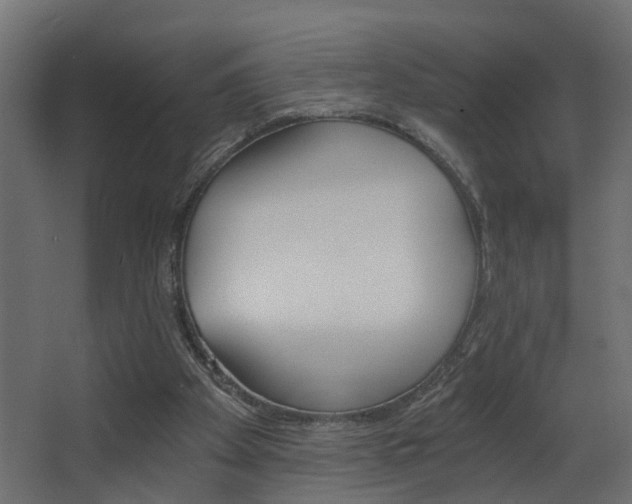 X0000068310105200604211047