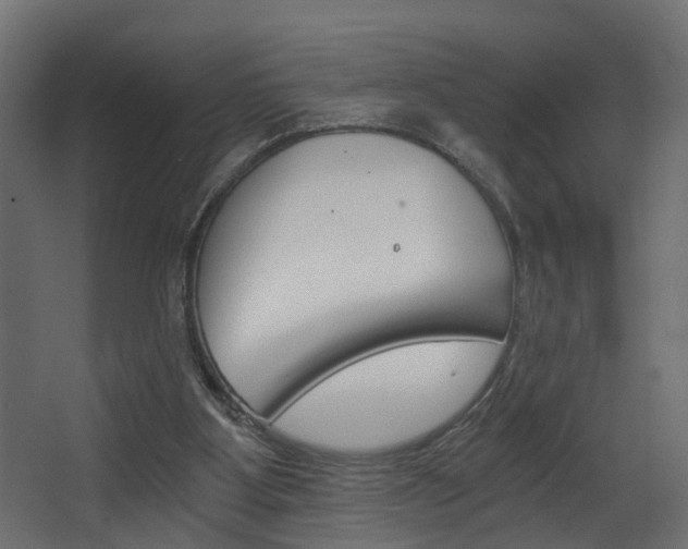 X0000068310107200604211047