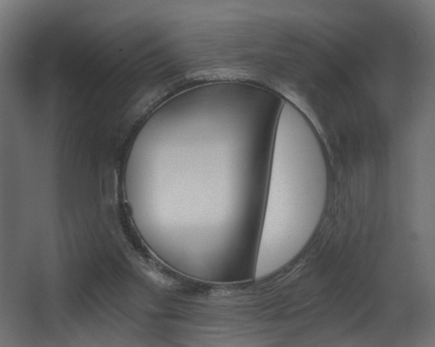 X0000068310109200604211047
