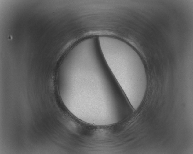 X0000068310111200604211047