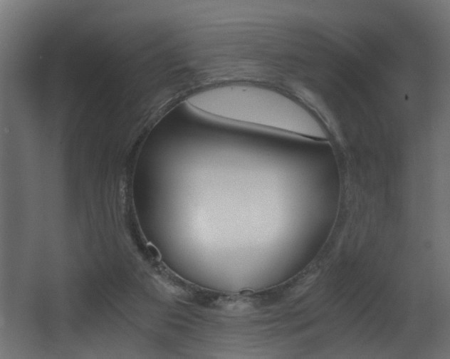 X0000068310113200604211047