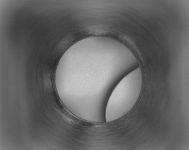 X0000068310114200604211047