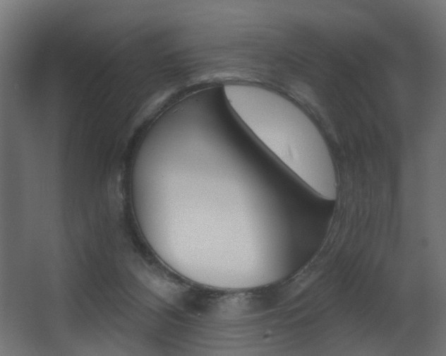 X0000068310116200604211047