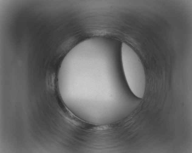 X0000068310118200604211047