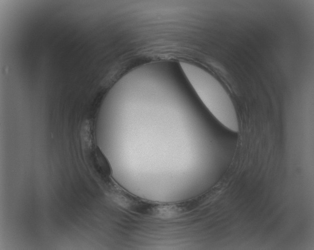 X0000068310121200604211047