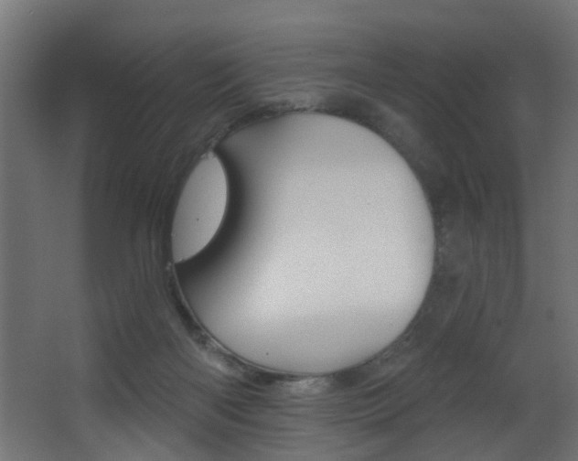 X0000068310122200604211046