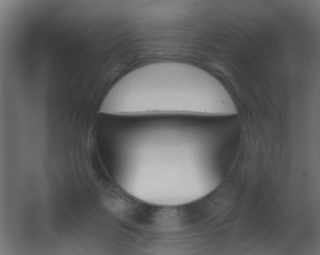 X0000068310123200604211046