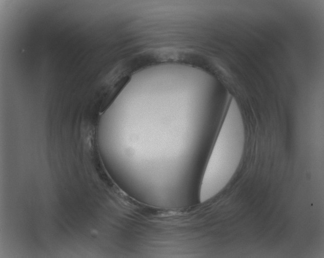X0000068310125200604211046