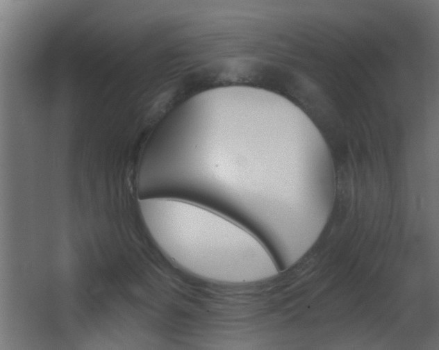 X0000068310127200604211046