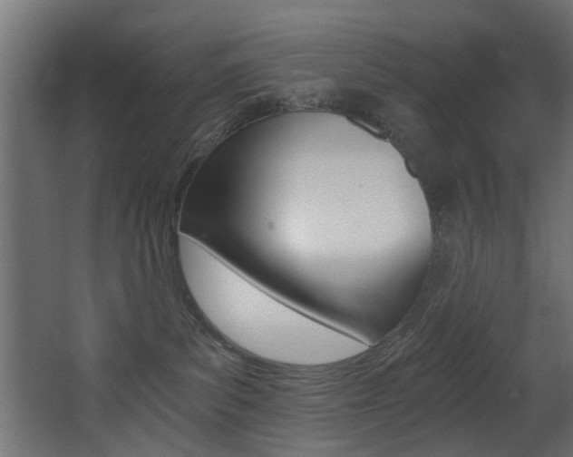 X0000068310139200604211046