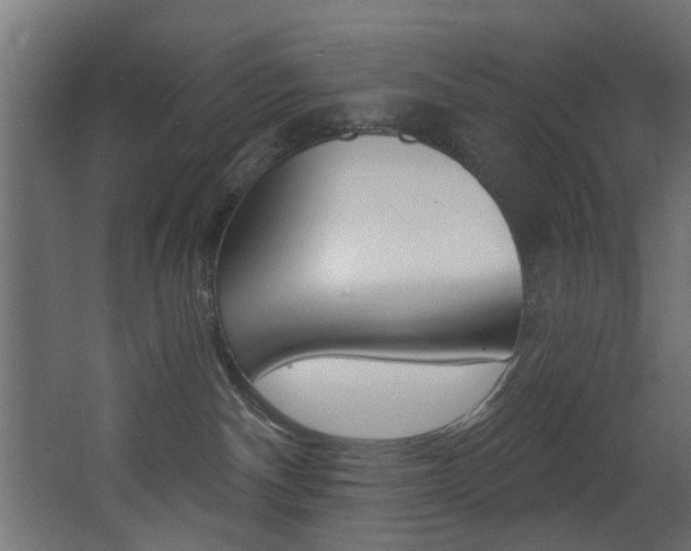 X0000068310140200604211046