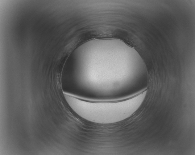 X0000068310141200604211046