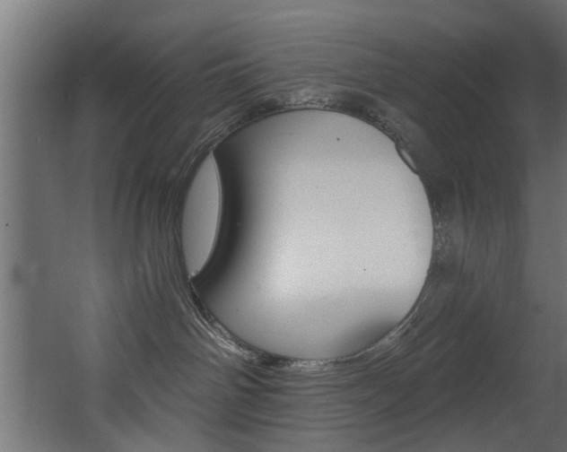 X0000068310142200604211046