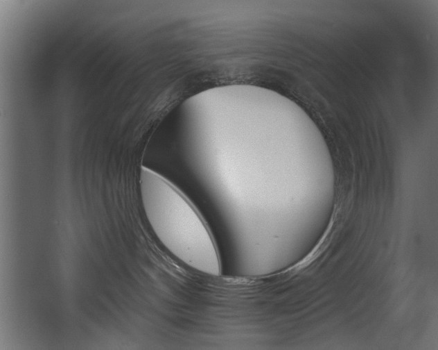 X0000068310144200604211046
