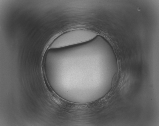 X0000068310147200604211045