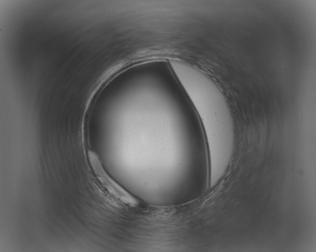 X0000068310148200604211045