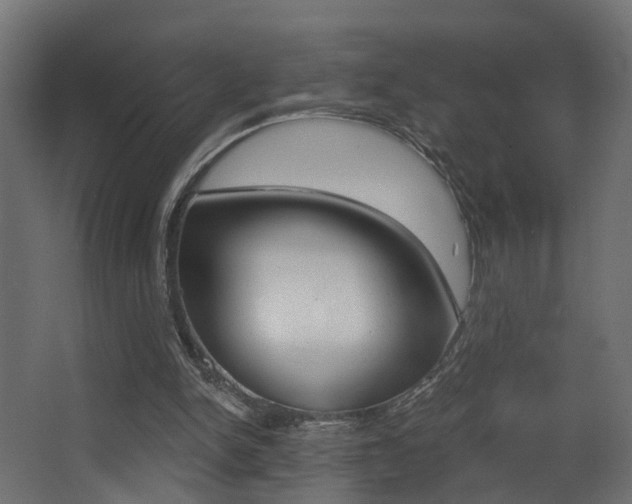 X0000068310150200604211045