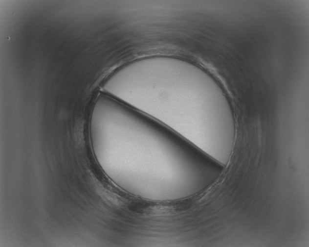 X0000068310154200604211045