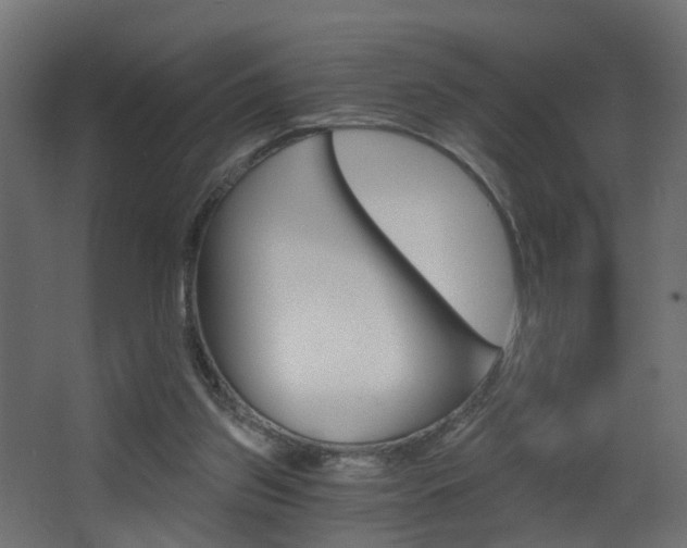 X0000068310157200604211046