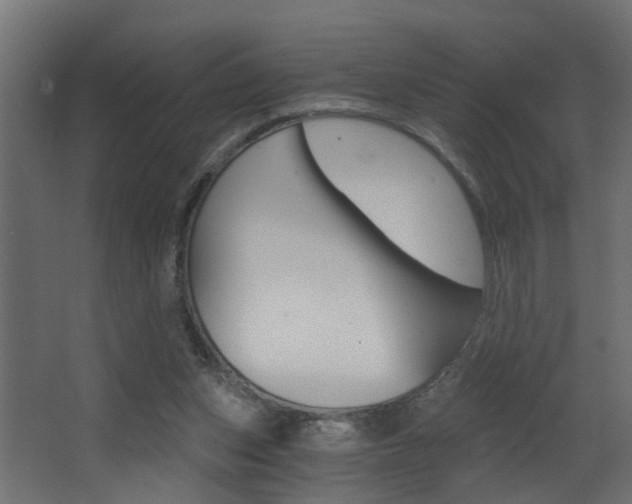 X0000068310159200604211046
