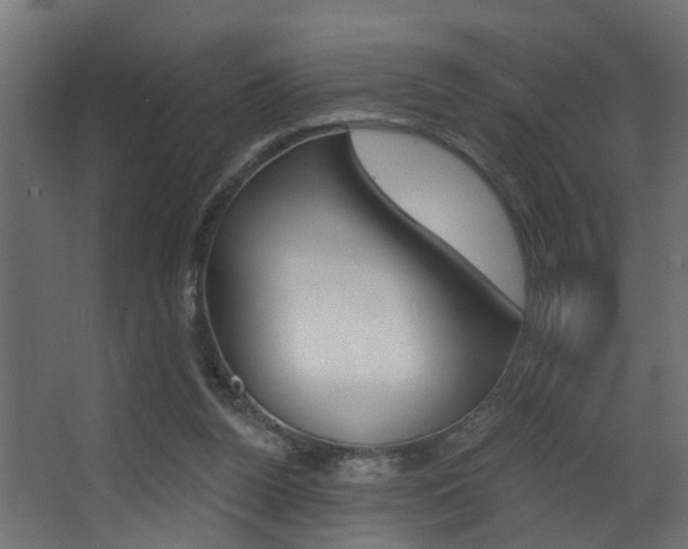 X0000068310160200604211046