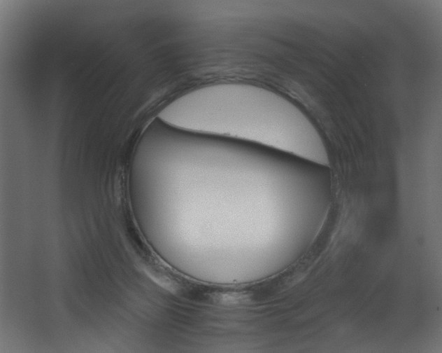 X0000068310165200604211046