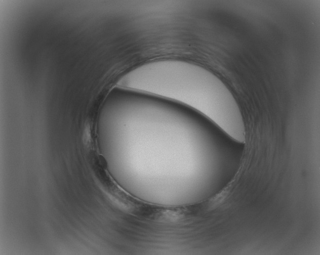 X0000068310166200604211046