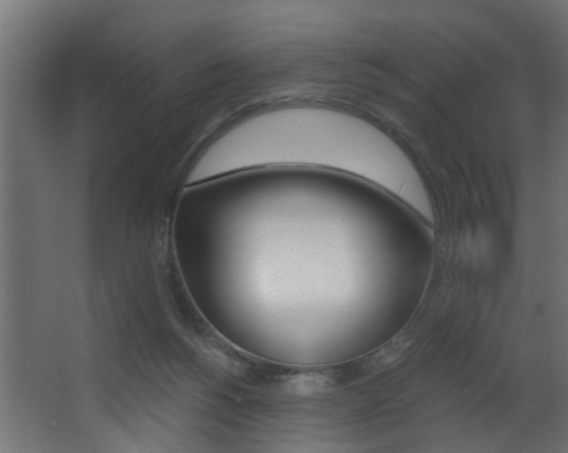 X0000068310168200604211046