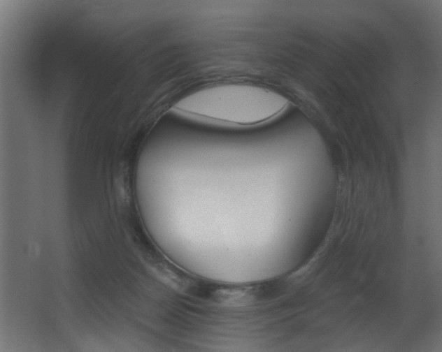 X0000068310170200604211046
