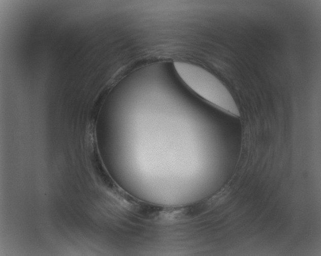 X0000068310172200604211046