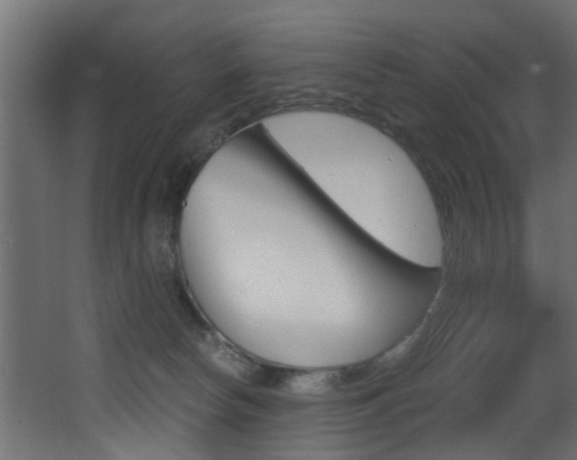 X0000068310178200604211046