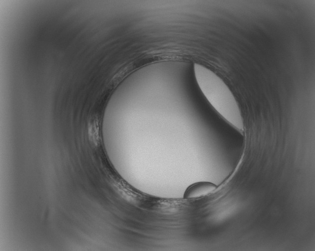 X0000068310190200604211046