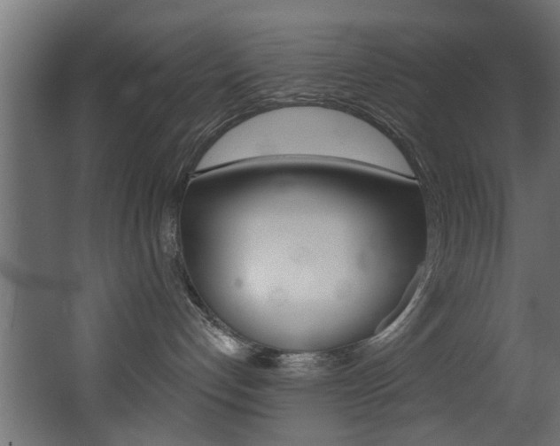 X0000068310192200604211046
