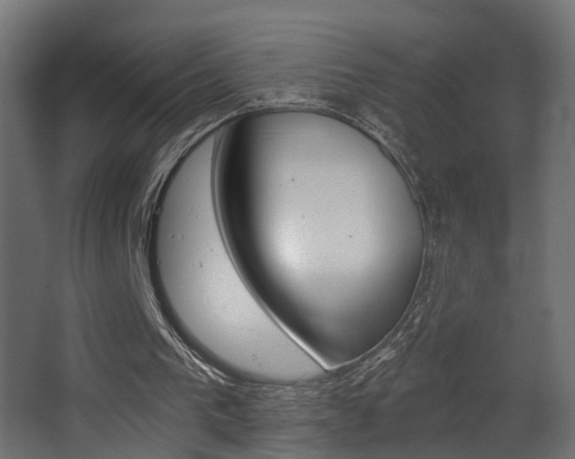 X0000068310193200604211045