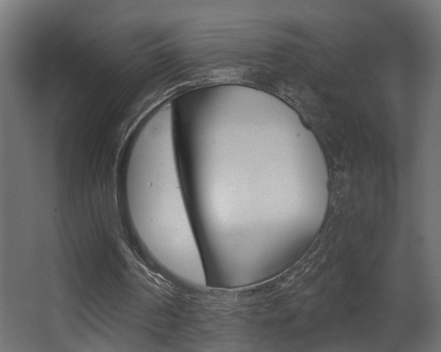 X0000068310194200604211045