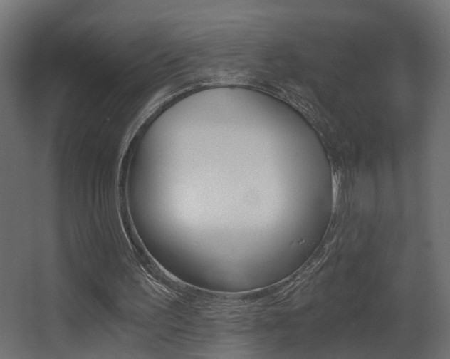 X0000068310195200604211045